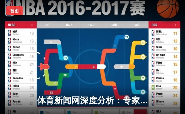 体育新闻网深度分析：专家解读